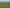 191 Chapman Road, Wharetoa