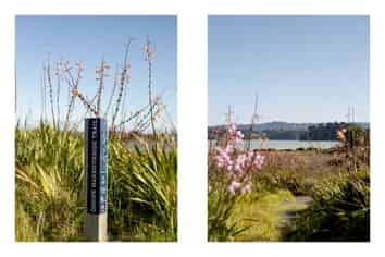 2C Kowhai Street, Ohope