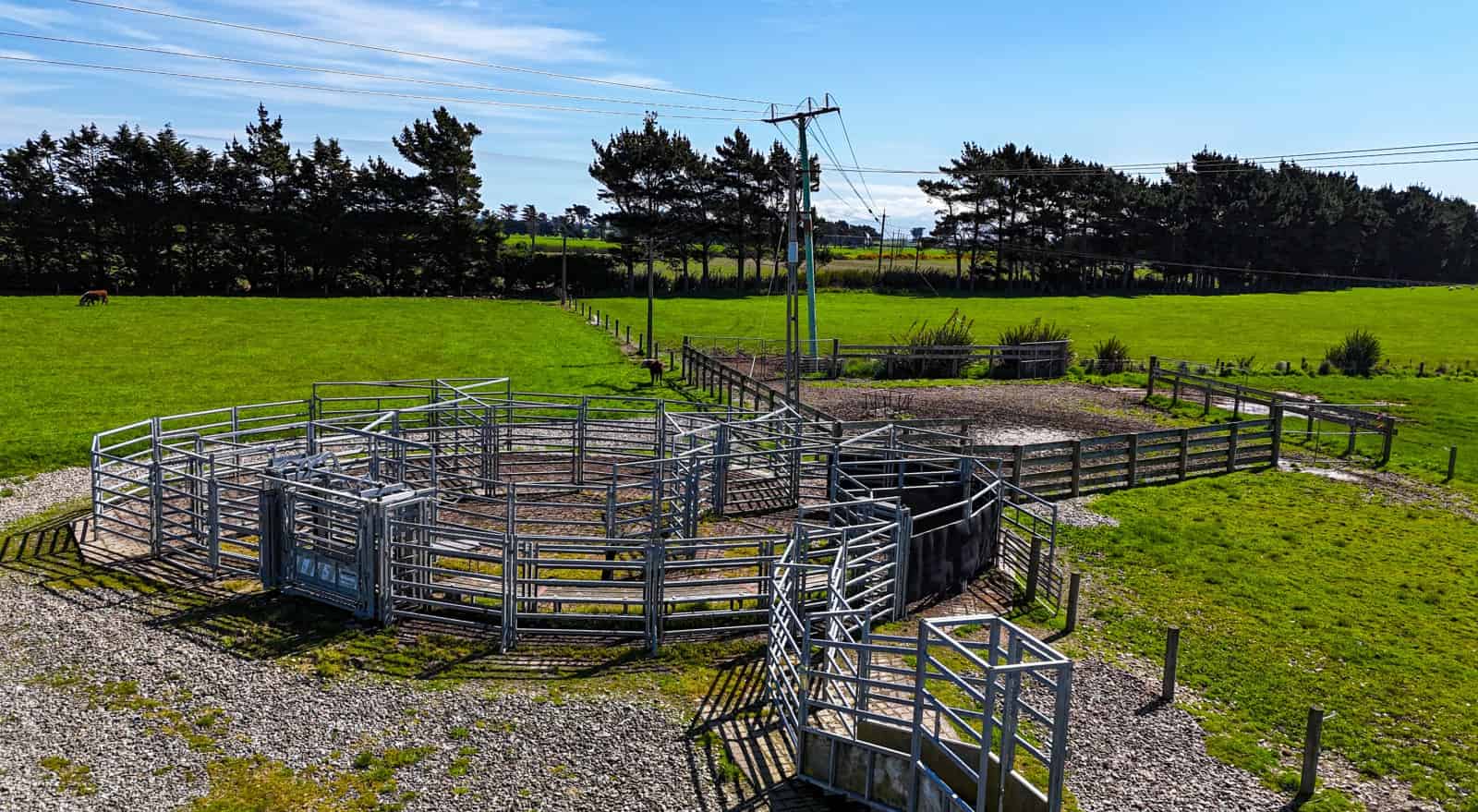 98 Taramoa Plains Road, Argyle Corner, Southland For Sale