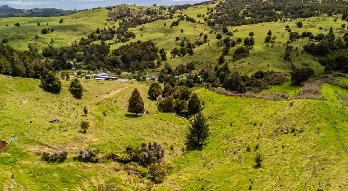 661A Omaunu Road, Kaeo, Far North For Sale realestate.co.nz