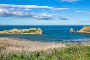 Lot 7 Balfour Crescent, Castlepoint