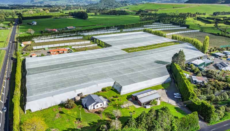 3 Trig Road, Waihi
