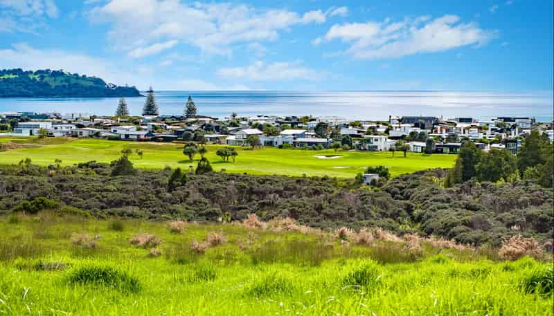  Mangatawhiri Road, Omaha