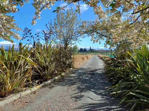 181 Nixons Road, Fairlie