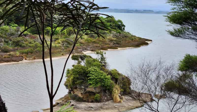  Te Papatapu Road, Raglan