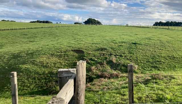 156 Morrison Road, Pukekawa