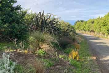 156 Morrison Road, Pukekawa