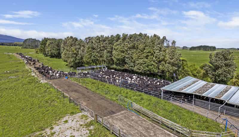 1528 Wiremu Road, Opunake