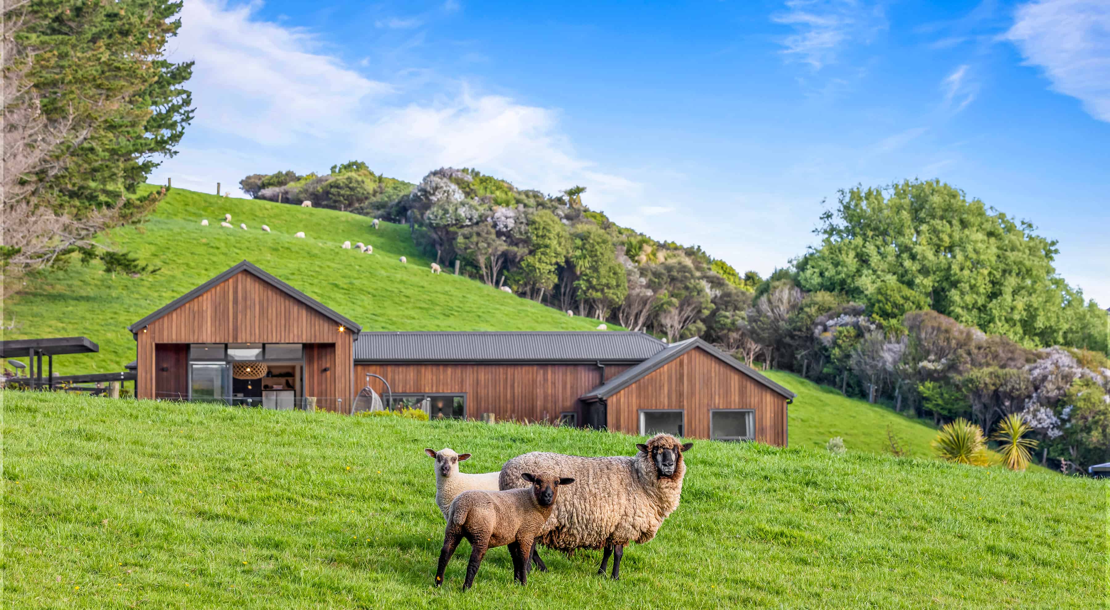 56 Hull Road, Waitoki, Rodney For Sale realestate.co.nz