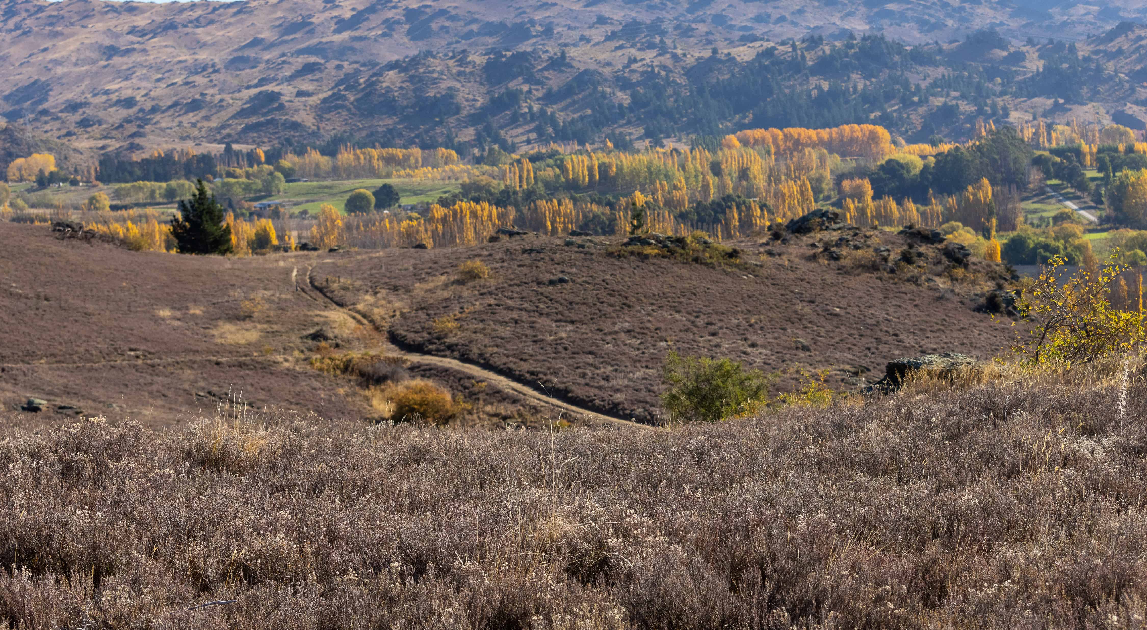 12/1 Conroy Road, Alexandra, Central Otago For Sale realestate.co.nz