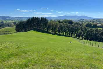 481 Honikiwi Road, Otorohanga