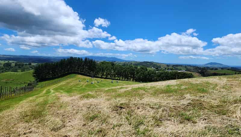 481 Honikiwi Road, Otorohanga
