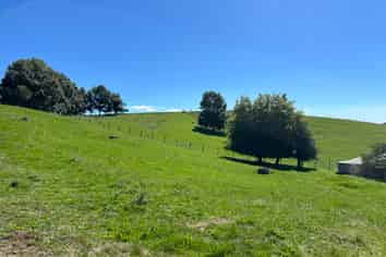 481 Honikiwi Road, Otorohanga