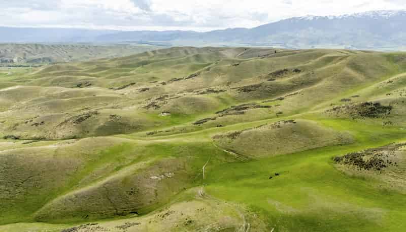  Corrigall Road, Chatto Creek