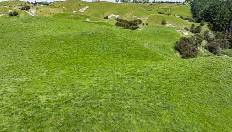 539 Flag Range Road, Sherenden