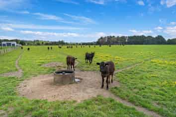103 Hoban Road, Whareora