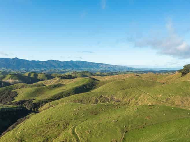 1905 Ridge Road, Pohangina