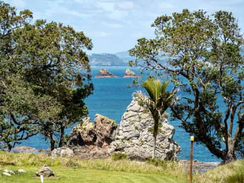 216 Matapaua Bay Road, Opito Bay