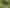 194C Pekanui Road, Pirongia