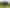 194C Pekanui Road, Pirongia