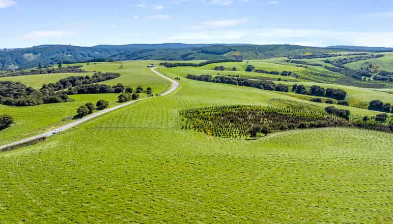  Goldfields Forest, Milton
