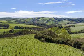  Goldfields Forest, Milton