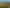 1681 Redwood Pass Road, Lower Dashwood