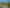 1681 Redwood Pass Road, Lower Dashwood