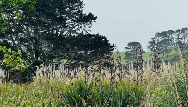 Lot 2 Kimberley Road, Waihopo, Houhora