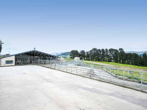 545 Clydevale Road, Wairuna