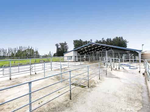 545 Clydevale Road, Wairuna