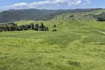 770 Owhiro Road, Otorohanga