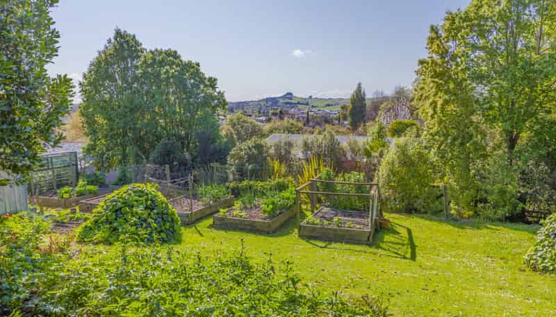 1D Hill Street, Waipukurau