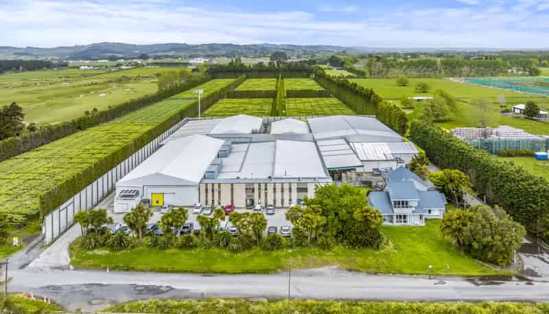 149 Phillip Road, Takanini