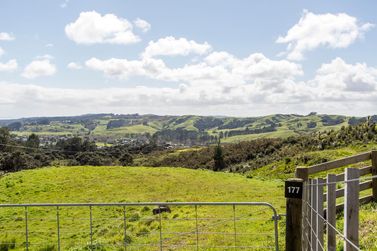 Build New or Relocate – pohled 3