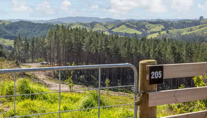 205 Wishart Road, Helensville