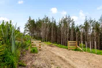 Lot 5/205 Wishart Road, Helensville