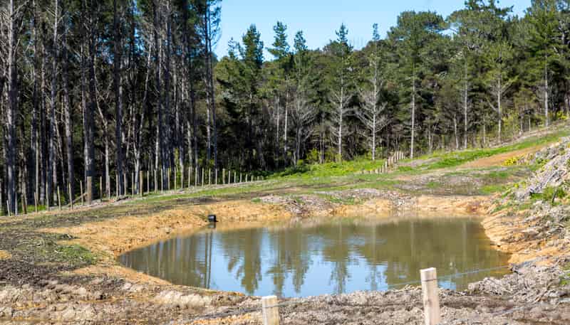 205 Wishart Road, Helensville