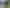 Central Tauranga – development ready