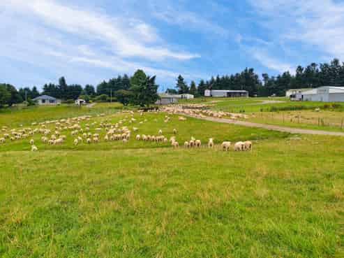 1121 The Dasher Road, Oamaru