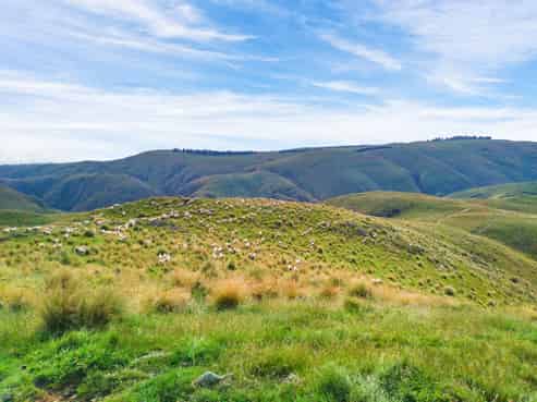 1121 The Dasher Road, Oamaru