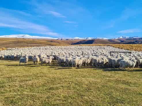 1121 The Dasher Road, Oamaru