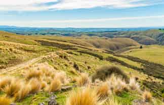 1121 The Dasher Road, Oamaru