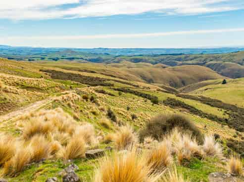1121 The Dasher Road, Oamaru