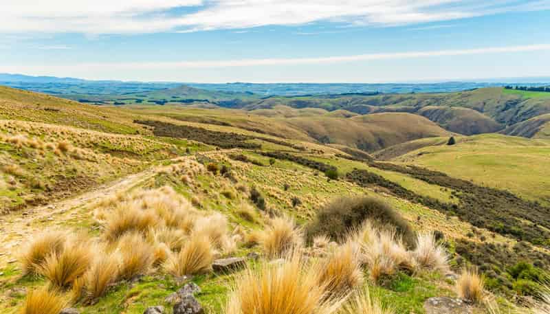 1121 The Dasher Road, Oamaru