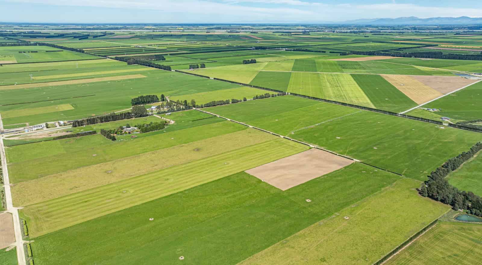 678 Ardlui Road, Dunsandel, Selwyn For Sale realestate.co.nz