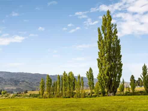 Lot  6 Luggate-Cromwell Road, Mount Pisa