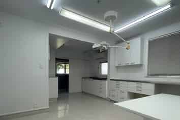 High Profile in The Heart of  Merivale