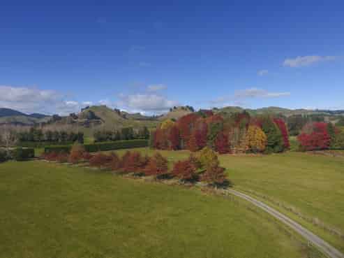 21 Mangatete Road, Waikite Valley