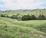 1339 Hikumutu Road, Taumarunui, Ruapehu, Central North Island